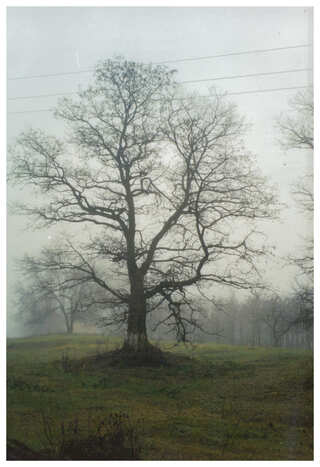 Mykhaylivtsi, photo by Przemyslaw Sieraczynski
