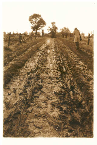 Mykhaylivtsi, photo by Przemyslaw Sieraczynski