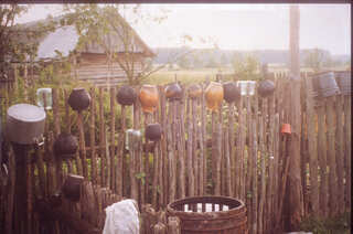 Lisove, 1999