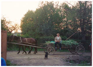 Polissia, 2000