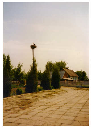 village Lisove